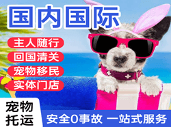 梅州机场空运国际宠物托运 【国